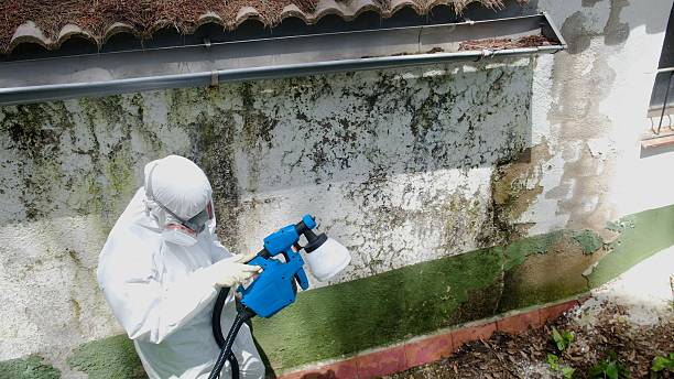 Top rated local Black Mold Remediation specialists in Glenmoore, PA